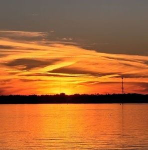 Meet your Posher, Harold